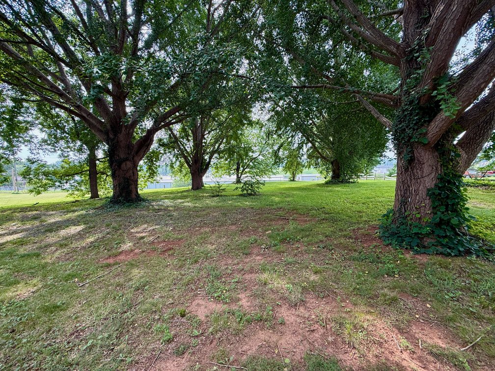 Image for 4 BR/2.5 BA Multi-Tenant Home and Large Detached Shop/Garage on 1.619 +/- Acres in Downtown Madison, VA--ONLINE ONLY BIDDING!!
