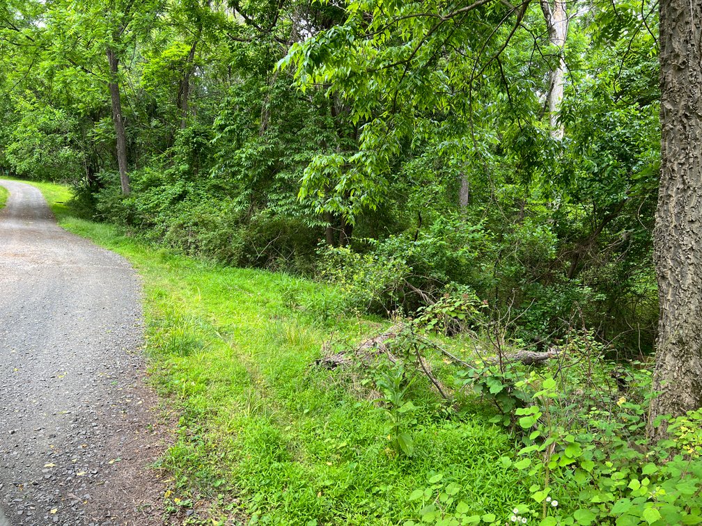 Image for Approved 8-Lot Subdivision in Fauquier County, VA w/Significant Engineering, Planning, Utility Approvals, and Architectural Review Already Completed--ONLINE ONLY BIDDING!!