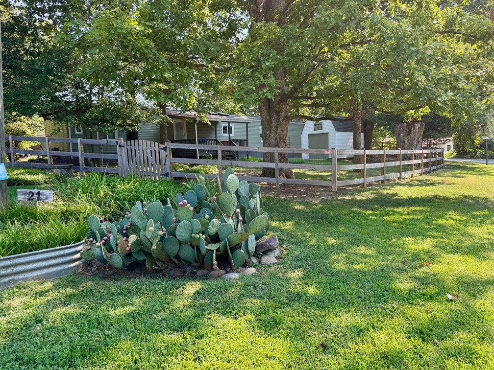 Image for 2 Residences w/Detached Garage/Shops/Outbuildings, Generator & Fencing on 2.25 +/- Acres--Stafford County, VA