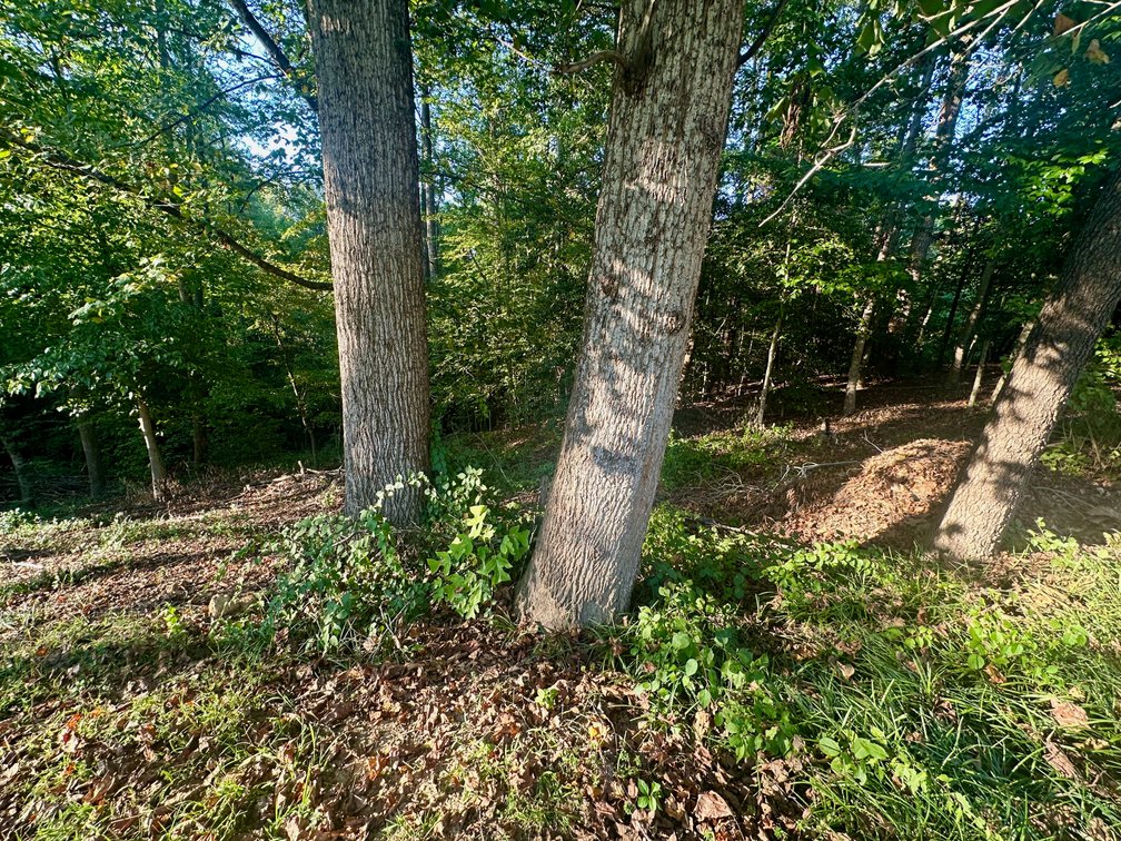 Image for 2 Residences w/Detached Garage/Shops/Outbuildings, Generator & Fencing on 2.25 +/- Acres--Stafford County, VA
