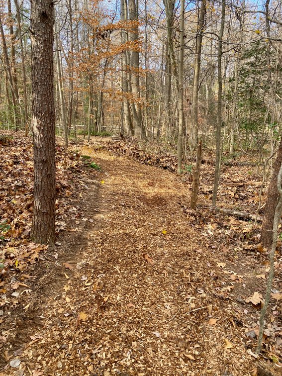 Image for 2 Residences w/Detached Garage/Shops/Outbuildings, Generator & Fencing on 2.25 +/- Acres--Stafford County, VA
