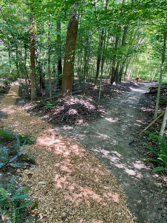 Image for 2 Residences w/Detached Garage/Shops/Outbuildings, Generator & Fencing on 2.25 +/- Acres--Stafford County, VA