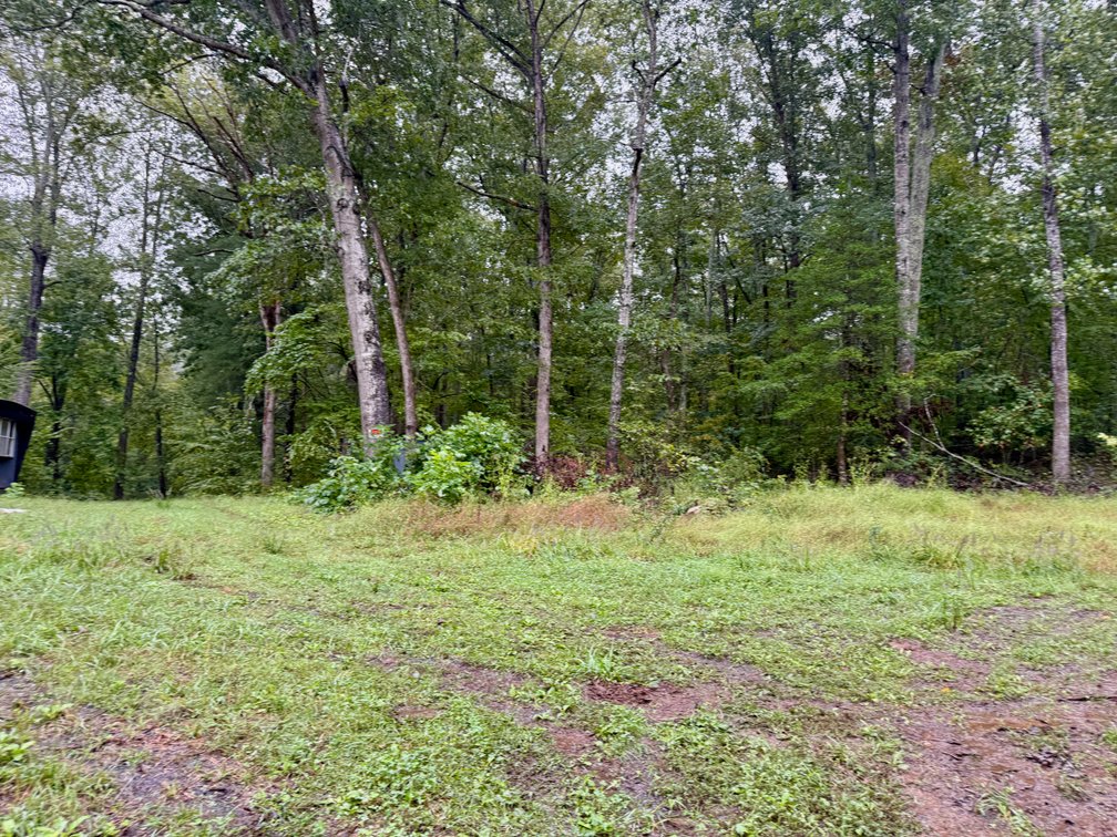 Image for 7.6 +/- Acres w/Well, Pond & Potential Homesite in Madison County, VA--ONLINE ONLY BIDDING!!