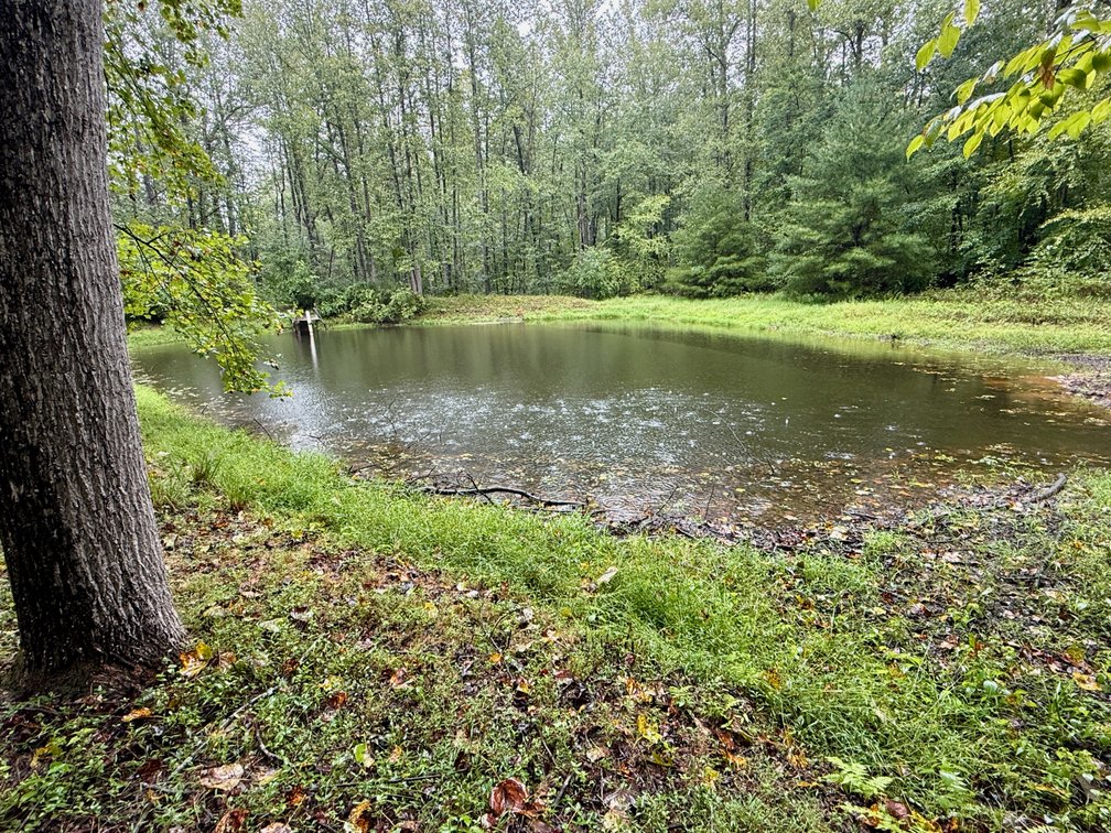 Image for 7.6 +/- Acres w/Well, Pond & Potential Homesite in Madison County, VA--ONLINE ONLY BIDDING!!