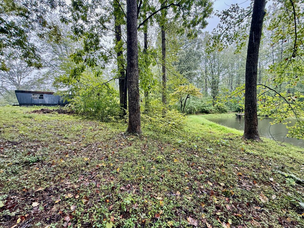 Image for 7.6 +/- Acres w/Well, Pond & Potential Homesite in Madison County, VA--ONLINE ONLY BIDDING!!