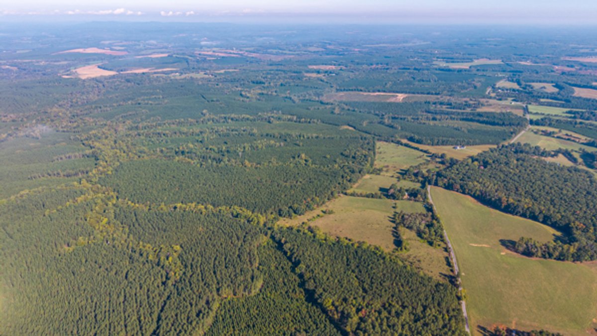 Image for 162 +/- Acres of Campbell County, VA Land Featuring Merchantable Timber, Potential Homesite, Road Frontage, Open & Wooded Sections, Pond, Wildlife & Agricultural Zoning!!