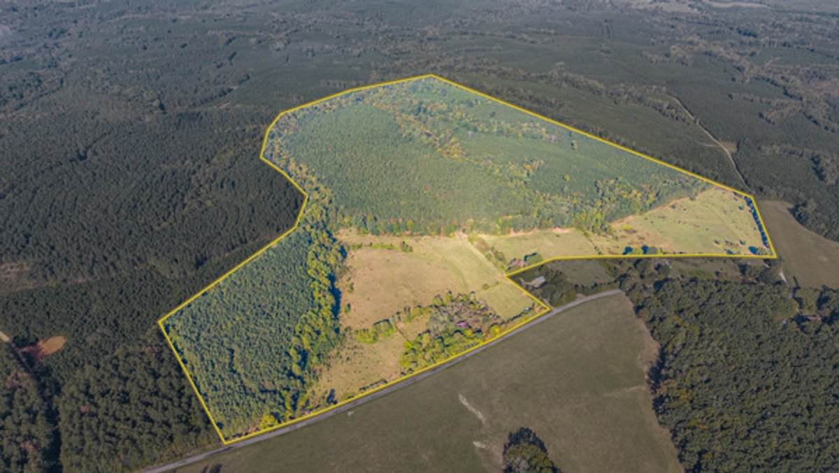 Image for 162 +/- Acres of Campbell County, VA Land Featuring Merchantable Timber, Potential Homesite, Road Frontage, Open & Wooded Sections, Pond, Wildlife & Agricultural Zoning!!