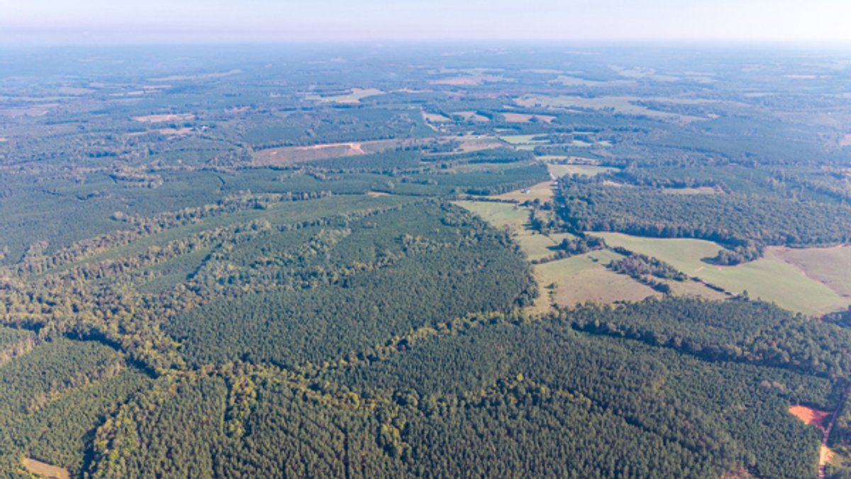 Image for 162 +/- Acres of Campbell County, VA Land Featuring Merchantable Timber, Potential Homesite, Road Frontage, Open & Wooded Sections, Pond, Wildlife & Agricultural Zoning!!