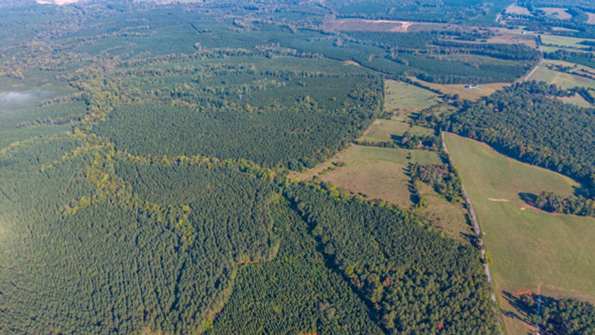 Image for 162 +/- Acres of Campbell County, VA Land Featuring Merchantable Timber, Potential Homesite, Road Frontage, Open & Wooded Sections, Pond, Wildlife & Agricultural Zoning!!