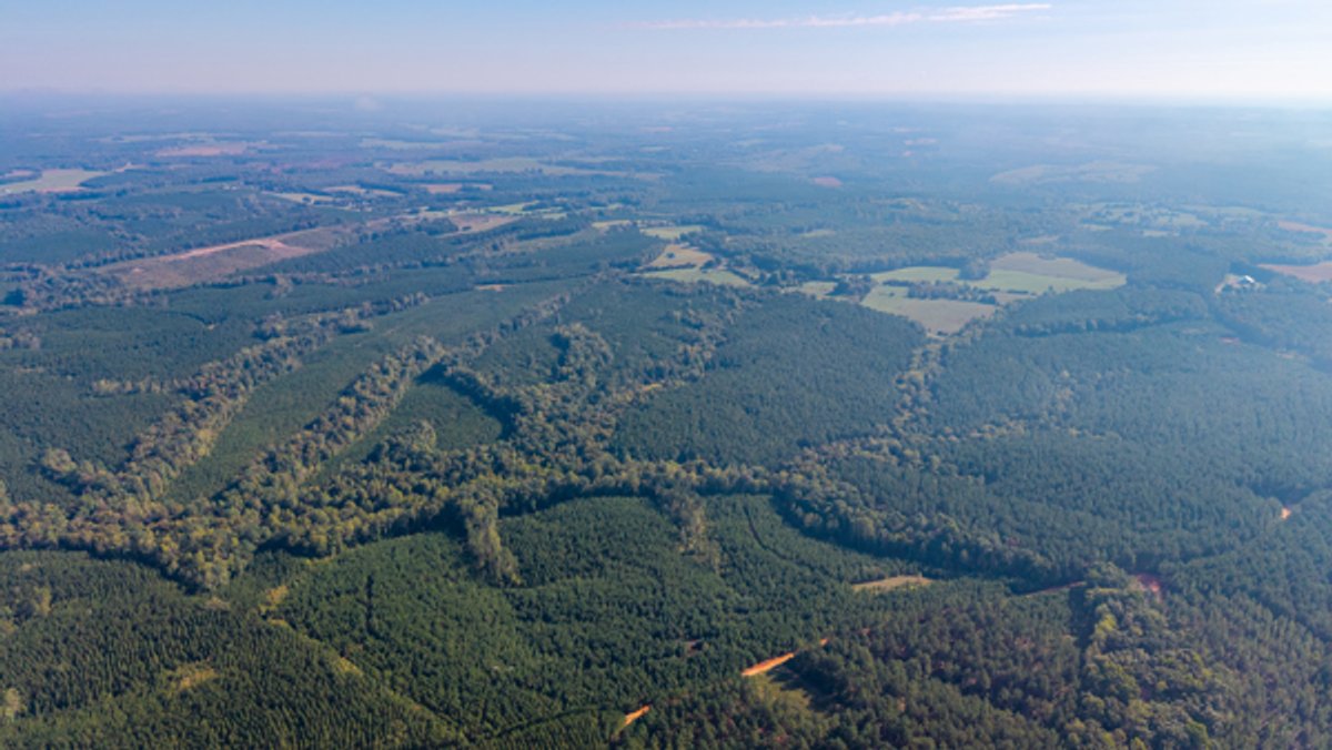 Image for 162 +/- Acres of Campbell County, VA Land Featuring Merchantable Timber, Potential Homesite, Road Frontage, Open & Wooded Sections, Pond, Wildlife & Agricultural Zoning!!