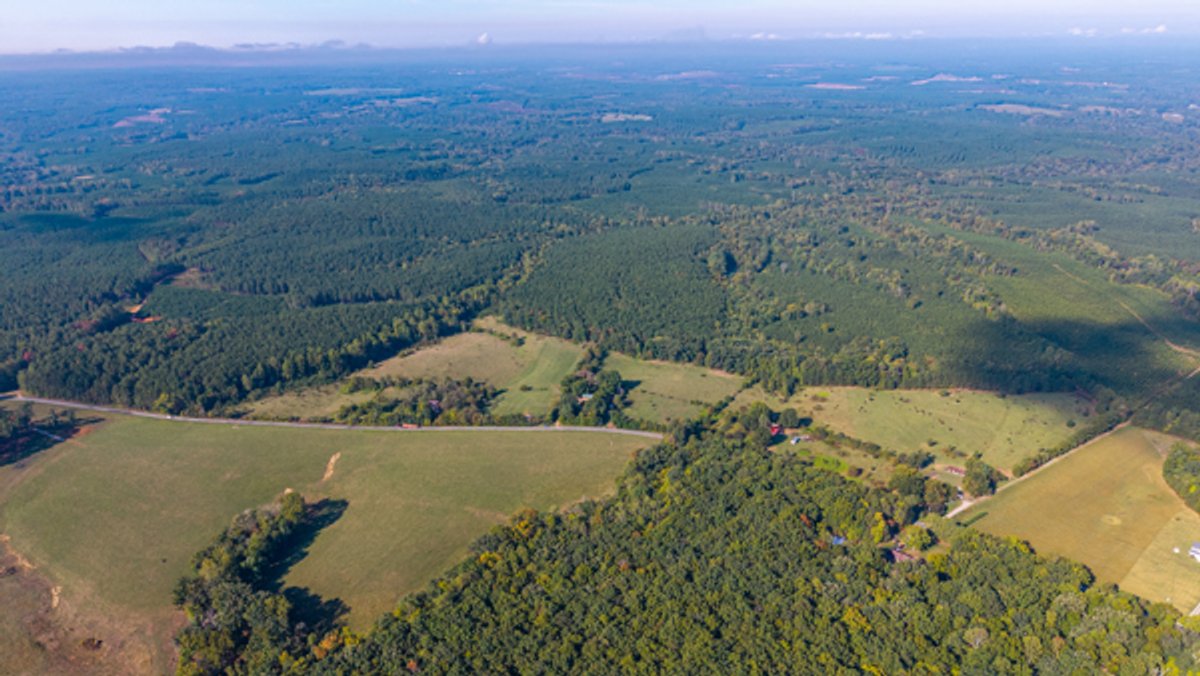 Image for 162 +/- Acres of Campbell County, VA Land Featuring Merchantable Timber, Potential Homesite, Road Frontage, Open & Wooded Sections, Pond, Wildlife & Agricultural Zoning!!