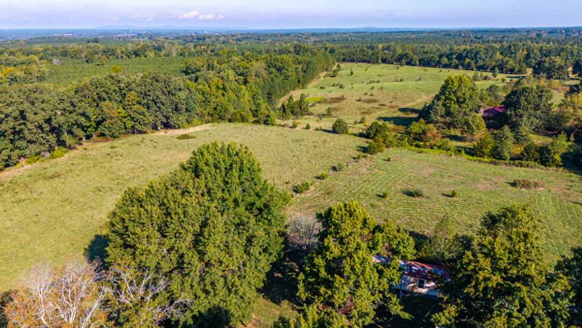 Image for 162 +/- Acres of Campbell County, VA Land Featuring Merchantable Timber, Potential Homesite, Road Frontage, Open & Wooded Sections, Pond, Wildlife & Agricultural Zoning!!