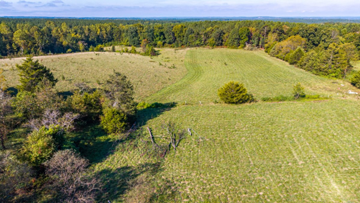 Image for 162 +/- Acres of Campbell County, VA Land Featuring Merchantable Timber, Potential Homesite, Road Frontage, Open & Wooded Sections, Pond, Wildlife & Agricultural Zoning!!