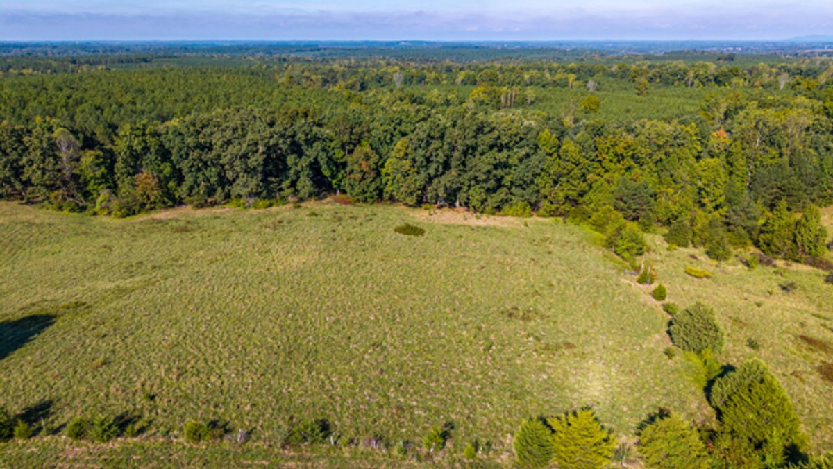 Image for 162 +/- Acres of Campbell County, VA Land Featuring Merchantable Timber, Potential Homesite, Road Frontage, Open & Wooded Sections, Pond, Wildlife & Agricultural Zoning!!