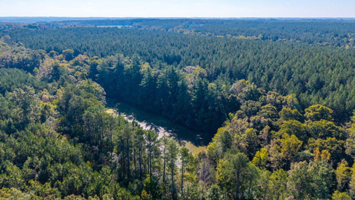 Image for 162 +/- Acres of Campbell County, VA Land Featuring Merchantable Timber, Potential Homesite, Road Frontage, Open & Wooded Sections, Pond, Wildlife & Agricultural Zoning!!