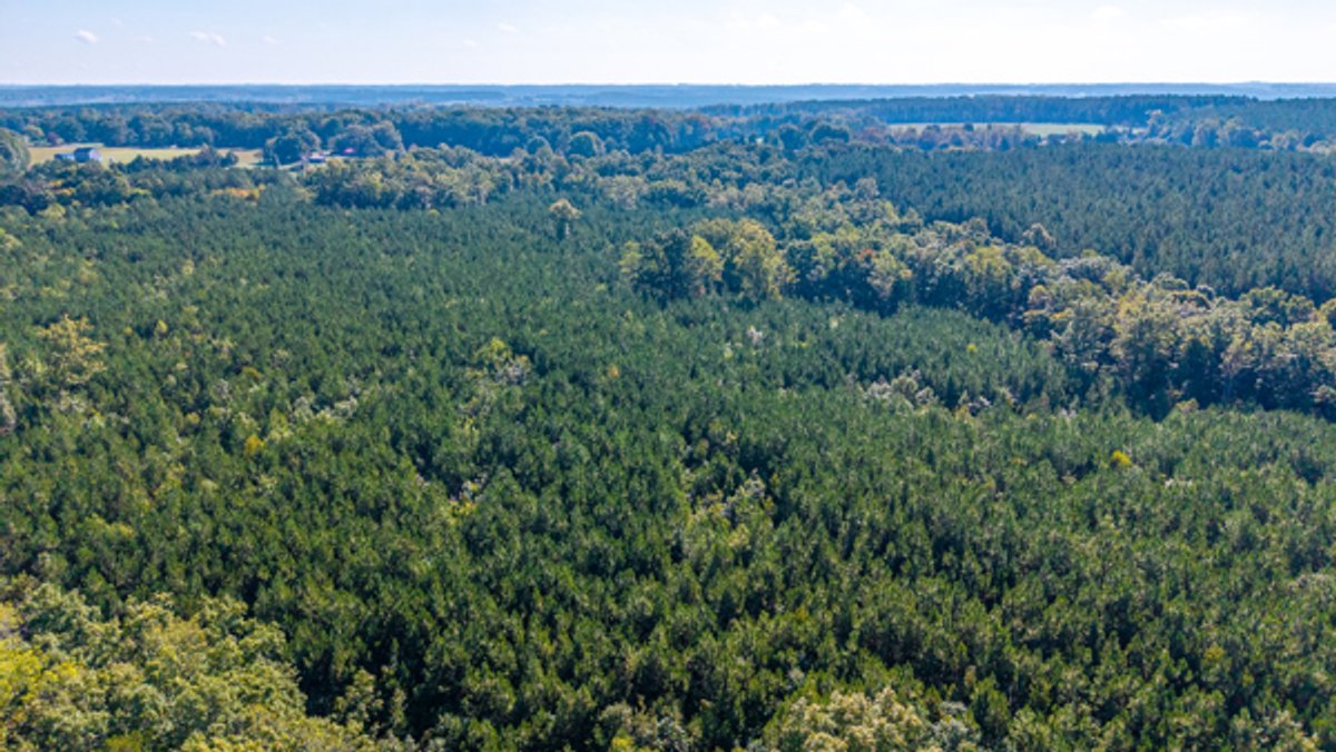 Image for 162 +/- Acres of Campbell County, VA Land Featuring Merchantable Timber, Potential Homesite, Road Frontage, Open & Wooded Sections, Pond, Wildlife & Agricultural Zoning!!