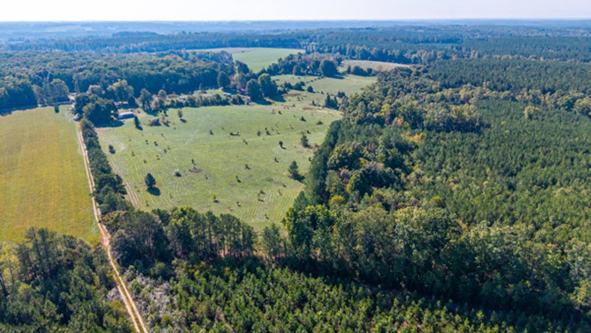 Image for 162 +/- Acres of Campbell County, VA Land Featuring Merchantable Timber, Potential Homesite, Road Frontage, Open & Wooded Sections, Pond, Wildlife & Agricultural Zoning!!