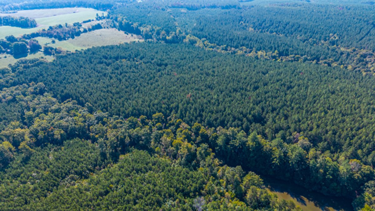 Image for 162 +/- Acres of Campbell County, VA Land Featuring Merchantable Timber, Potential Homesite, Road Frontage, Open & Wooded Sections, Pond, Wildlife & Agricultural Zoning!!