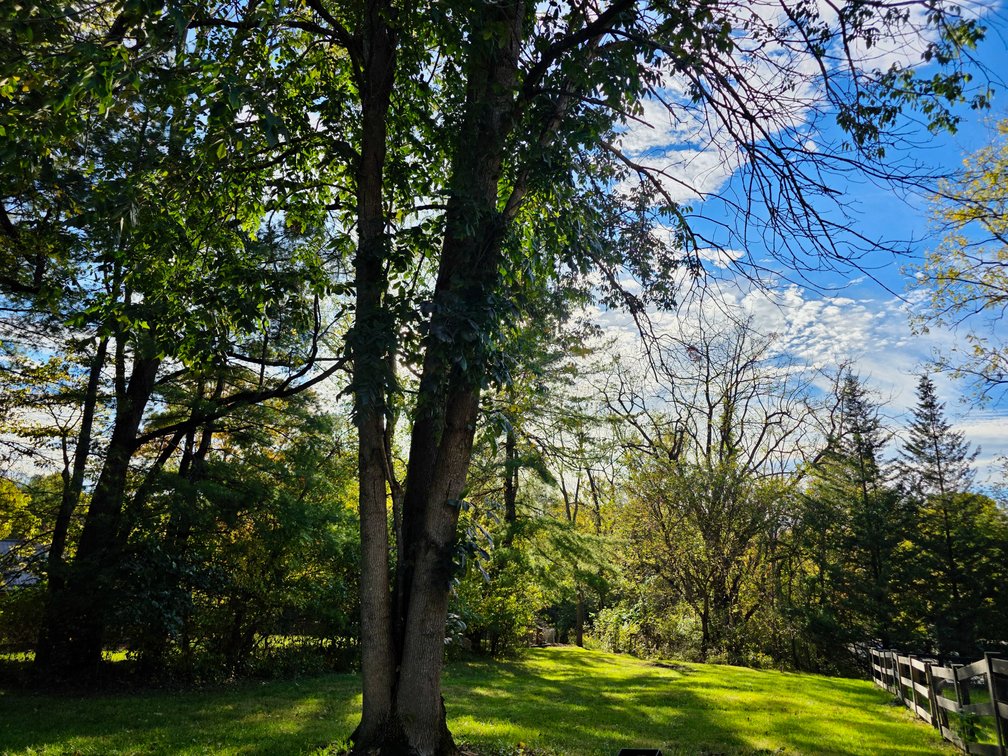 Image for 3 BR/1.5 BA Colonial Style Home on .73 +/- Acre Lot w/Partially Finished Basement & Fenced Backyard in Botetourt County, VA--ONLINE ONLY BIDDING!!