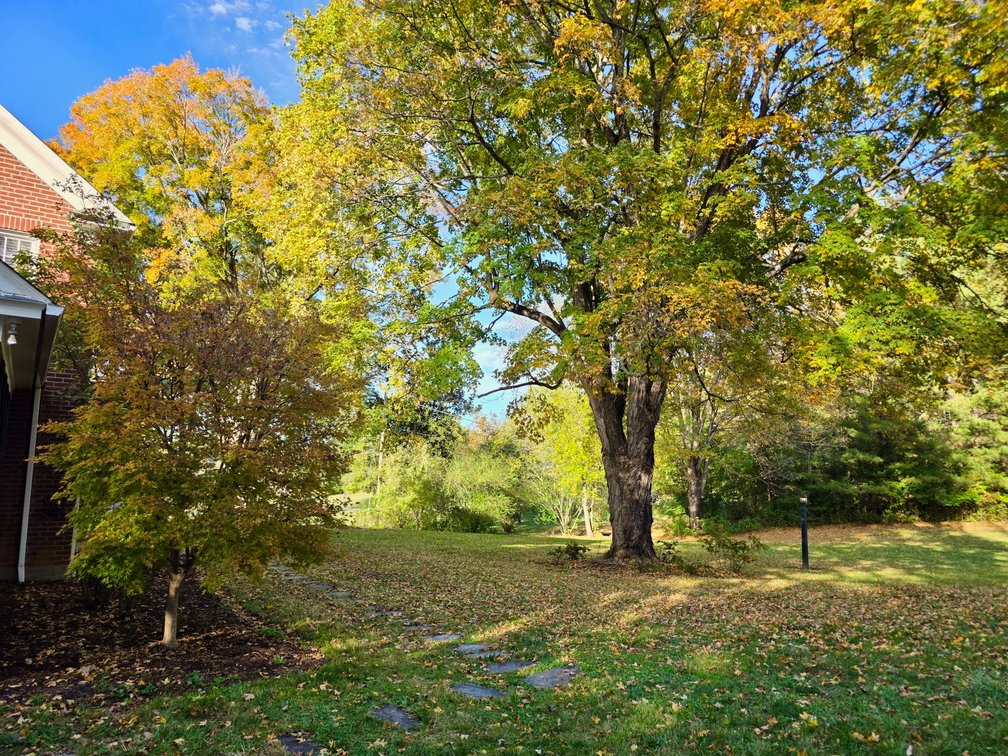 Image for 3 BR/1.5 BA Colonial Style Home on .73 +/- Acre Lot w/Partially Finished Basement & Fenced Backyard in Botetourt County, VA--ONLINE ONLY BIDDING!!