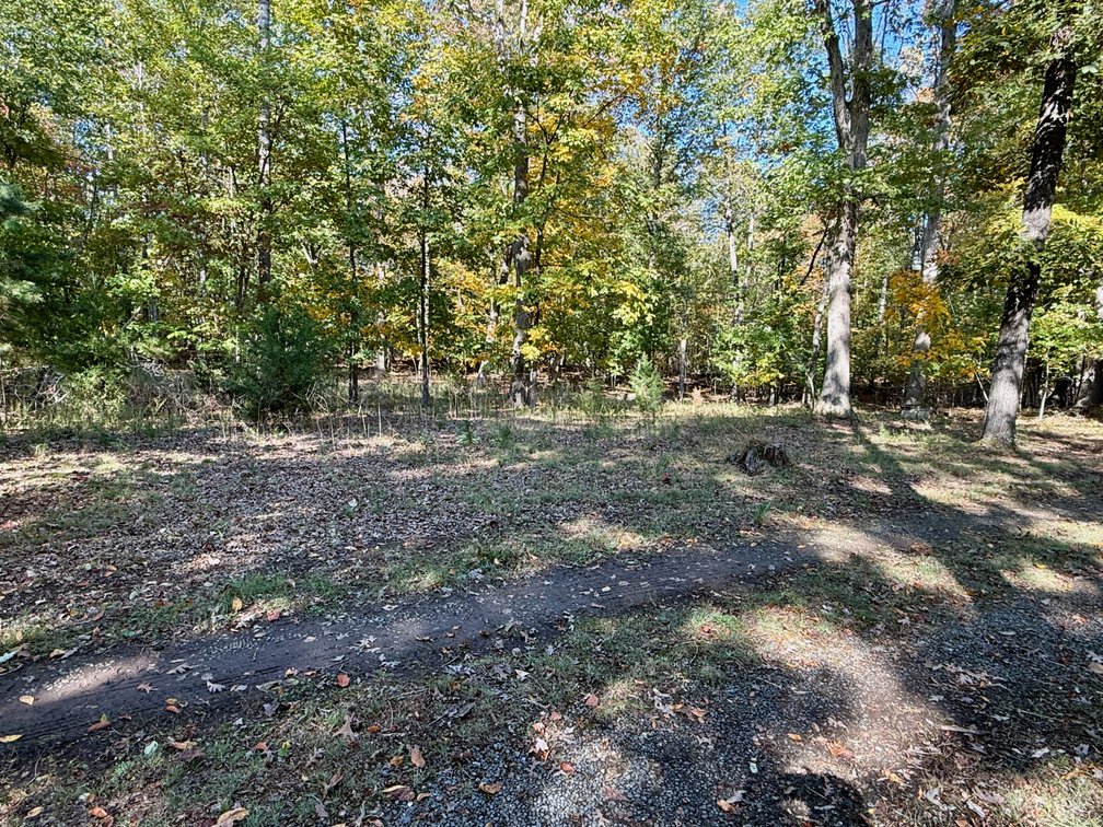 Image for 3 BR/1 BA Brick Home w/Walk-Out Basement & 2 Detached Garage/Shop/Storage Buildings on 14.1 +/- Mostly Wooded Acres--Orange, VA