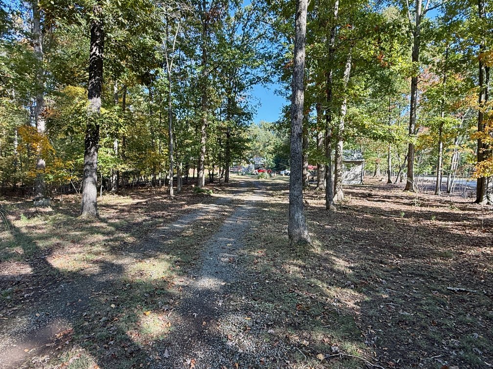 Image for 3 BR/1 BA Brick Home w/Walk-Out Basement & 2 Detached Garage/Shop/Storage Buildings on 14.1 +/- Mostly Wooded Acres--Orange, VA
