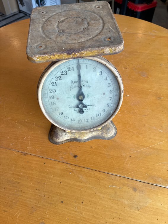 Scale