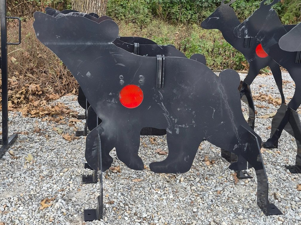 Bear Target