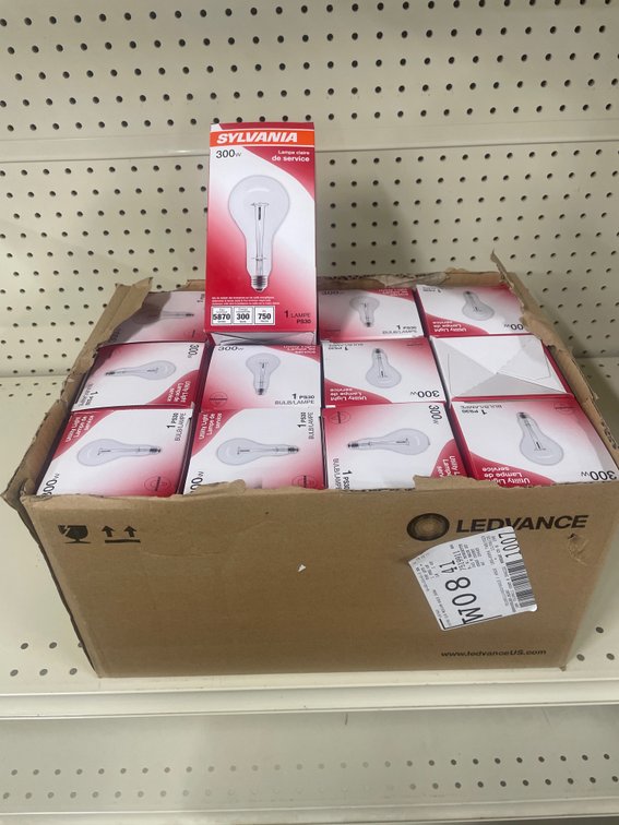 Lot of light bulbs (12)