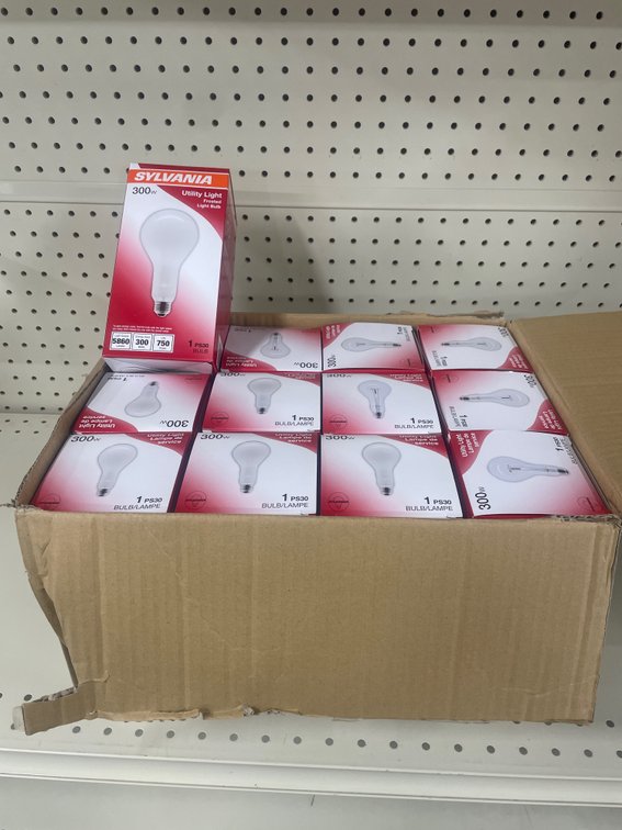Lot of 12 Lightbulbs (300 W)