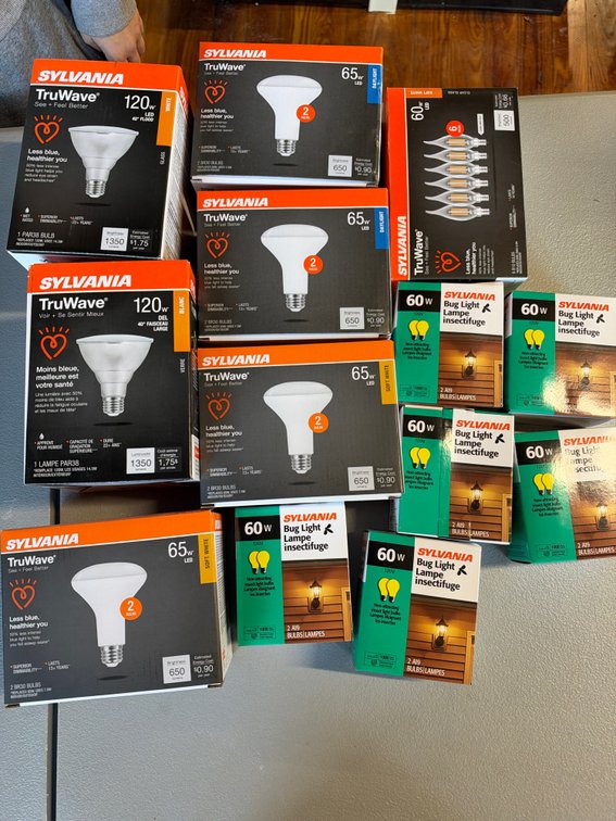 Lot of Assorted Lightbulbs