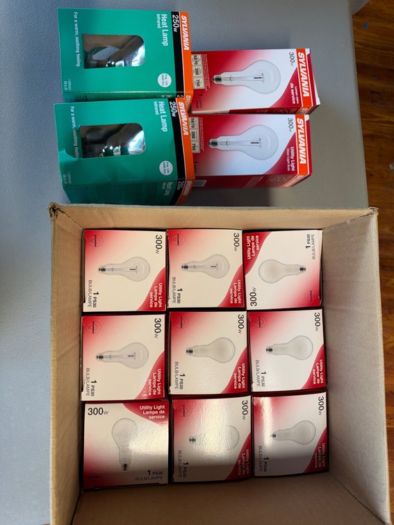 Lot of Lightbulbs and Heat Lamps