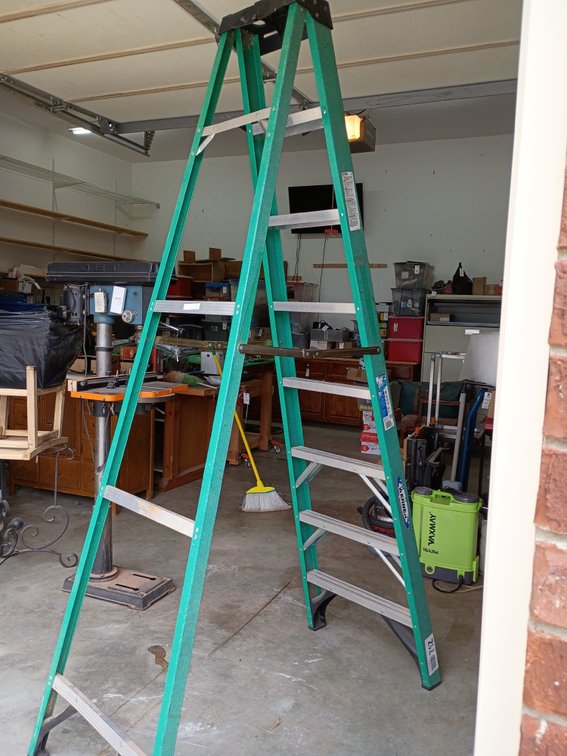 Warner 8 ft ladder