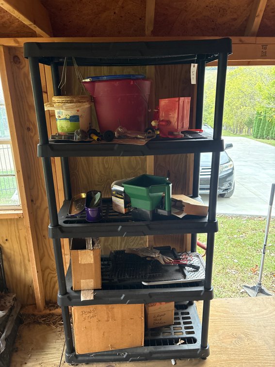 Shelf and contents