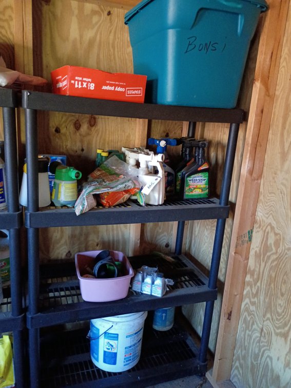 Four tier shelving with items on it
