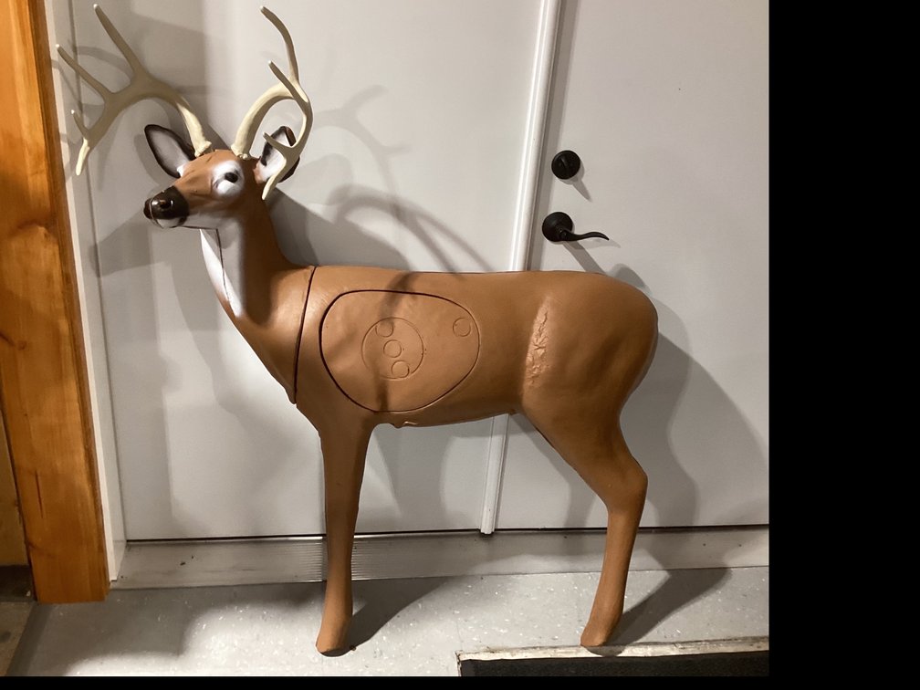 BIGshot Pro Hunter Double Duty Buck  Target