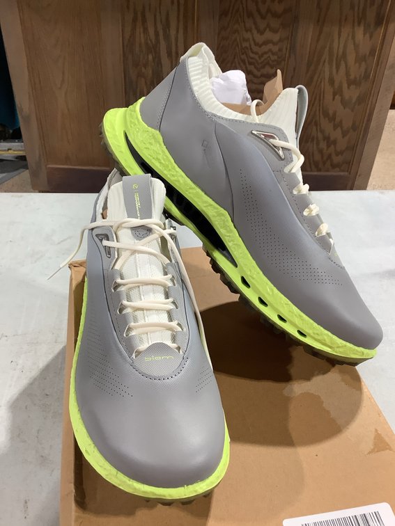 Size 10-10.5 Men's ECCO® GOLF BIOM C5 Leather Gore-Tex Golf Shoes
