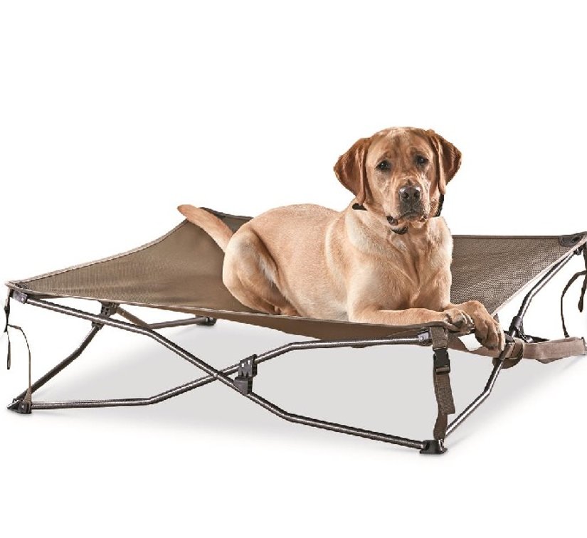 Guide Gear Dura Mesh Elevated Pet Bed