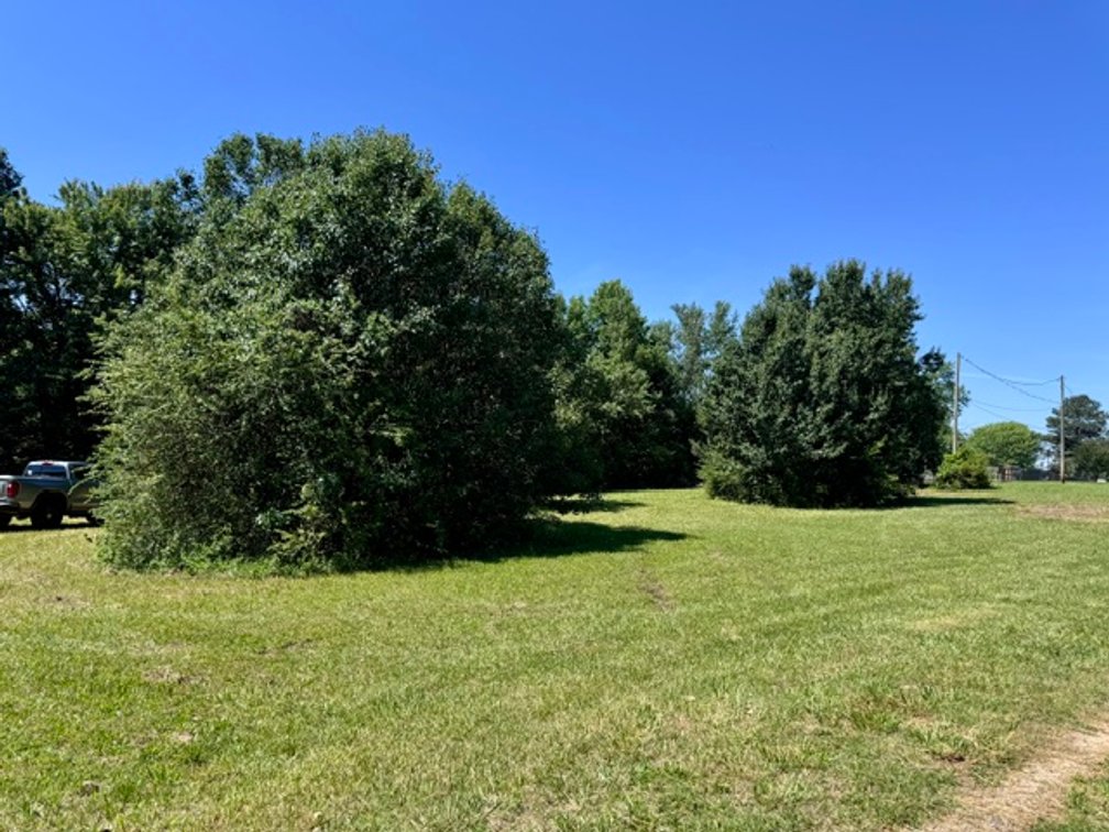 Image for ONLINE AUCTION ONLY!  3 bed 2 bath 16x76 mobile home on 1.39 un-restricted acres - beautiful lot!