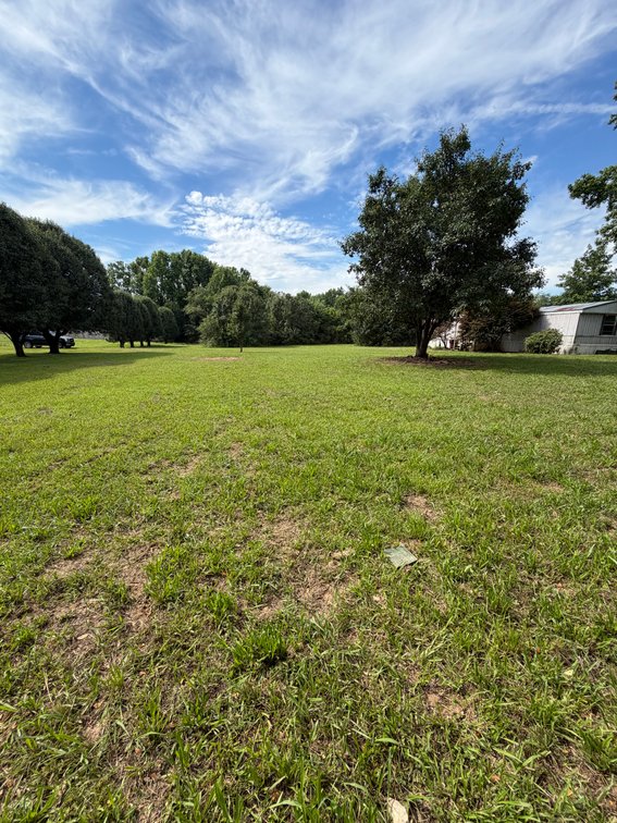 Image for ONLINE AUCTION ONLY!  3 bed 2 bath 16x76 mobile home on 1.39 un-restricted acres - beautiful lot!