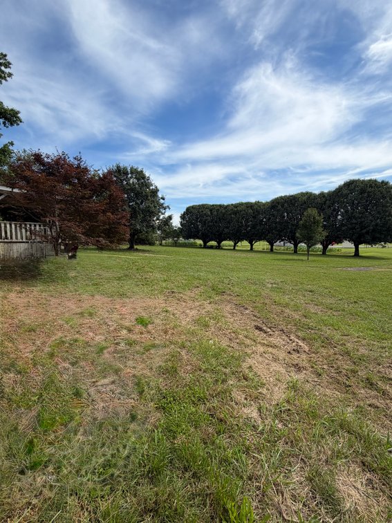 Image for ONLINE AUCTION ONLY!  3 bed 2 bath 16x76 mobile home on 1.39 un-restricted acres - beautiful lot!