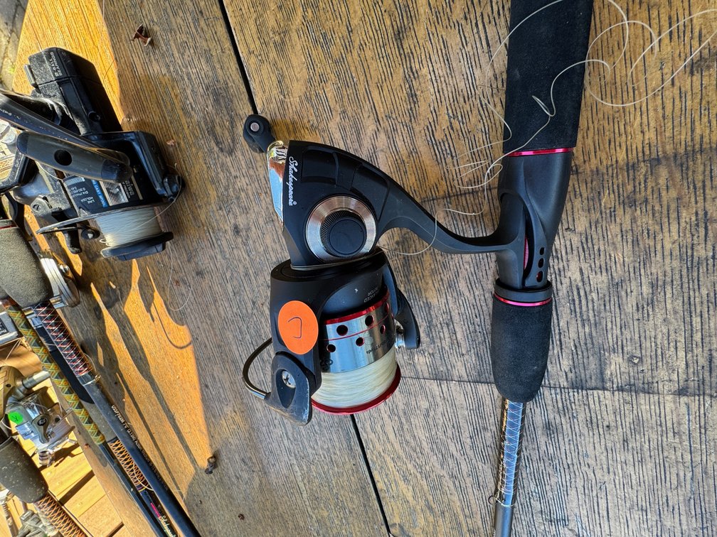 Image for Bass Boat - Rods/Reels