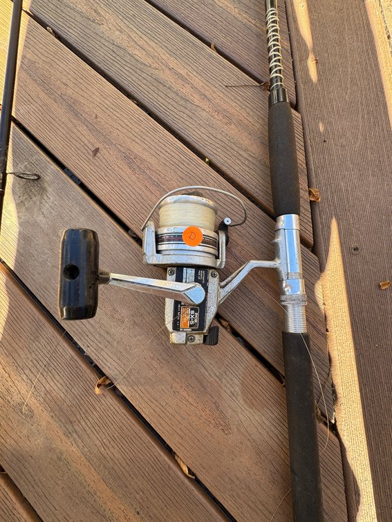Image for Bass Boat - Rods/Reels