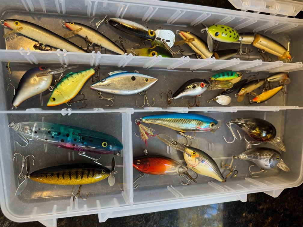 Image for Bass Boat - Rods/Reels