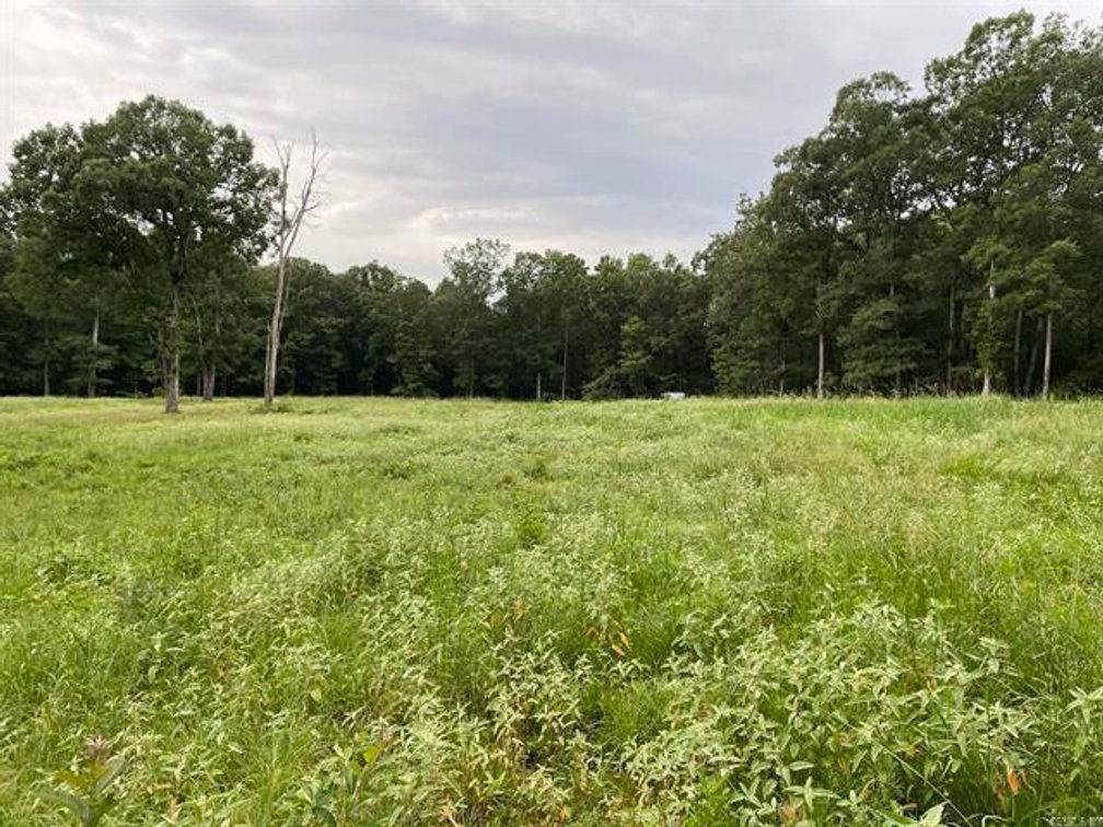 Image for 230 ACRES FARMLAND CROCKETT ARKANSAS