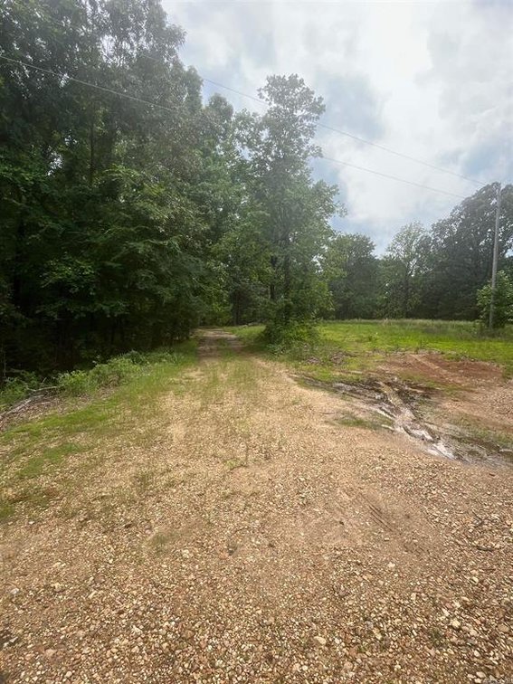 Image for 82 ACRES HUNTING LAND LAFE ARKANSAS