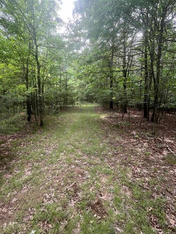Image for 82 ACRES HUNTING LAND LAFE ARKANSAS