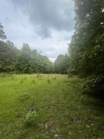 Image for 82 ACRES HUNTING LAND LAFE ARKANSAS