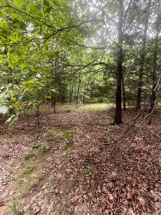 Image for 82 ACRES HUNTING LAND LAFE ARKANSAS