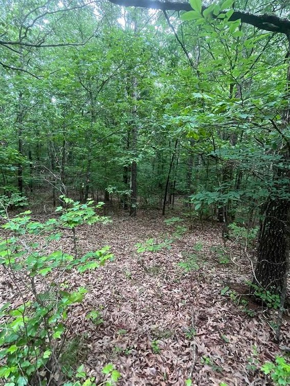 Image for 82 ACRES HUNTING LAND LAFE ARKANSAS